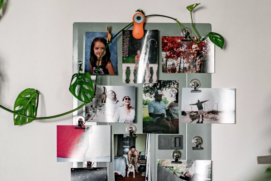 companero habitacion poster companero habitacion poster