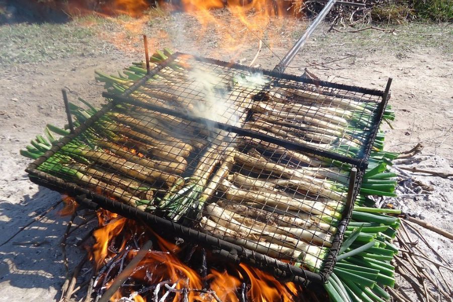 erasmus cataluna calcots erasmus in catalonia