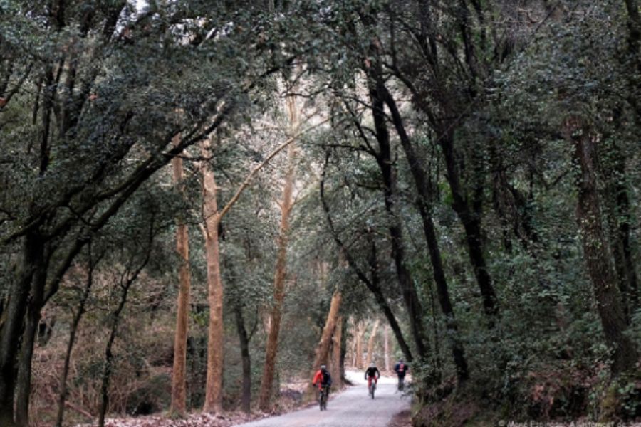 residencias sant cugat ciudad