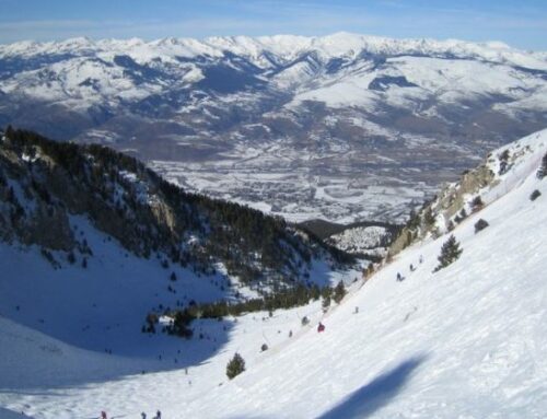 3 planes para estudiantes después de los exámenes