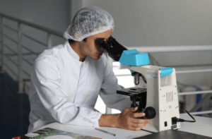 estudiar en girona ciencias estudiar en girona ciencias