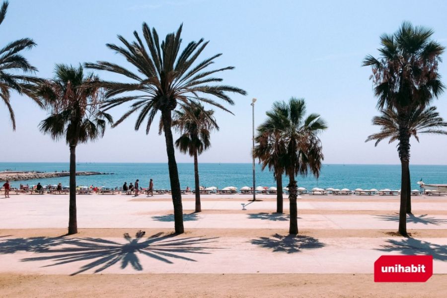 5 razones por que estudiar en barcelona 5 razones por las que estudiar en barcelona