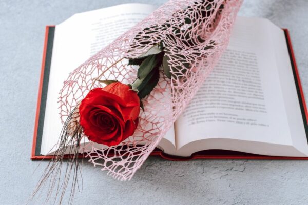 Libros recomendados Sant Jordi 2024 Libros recomendados Sant Jordi 2024