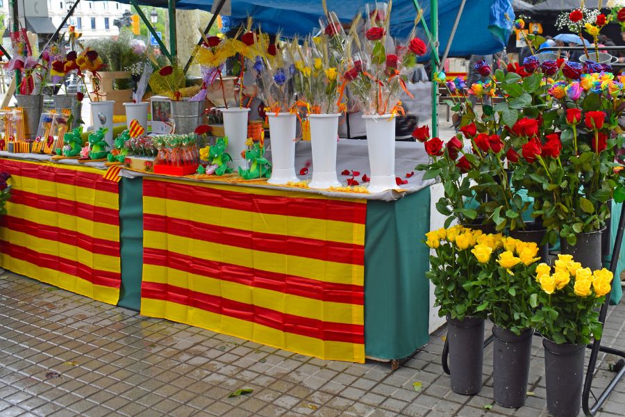 vida universitaria barcelona fiestas vida universitaria barcelona fiestas