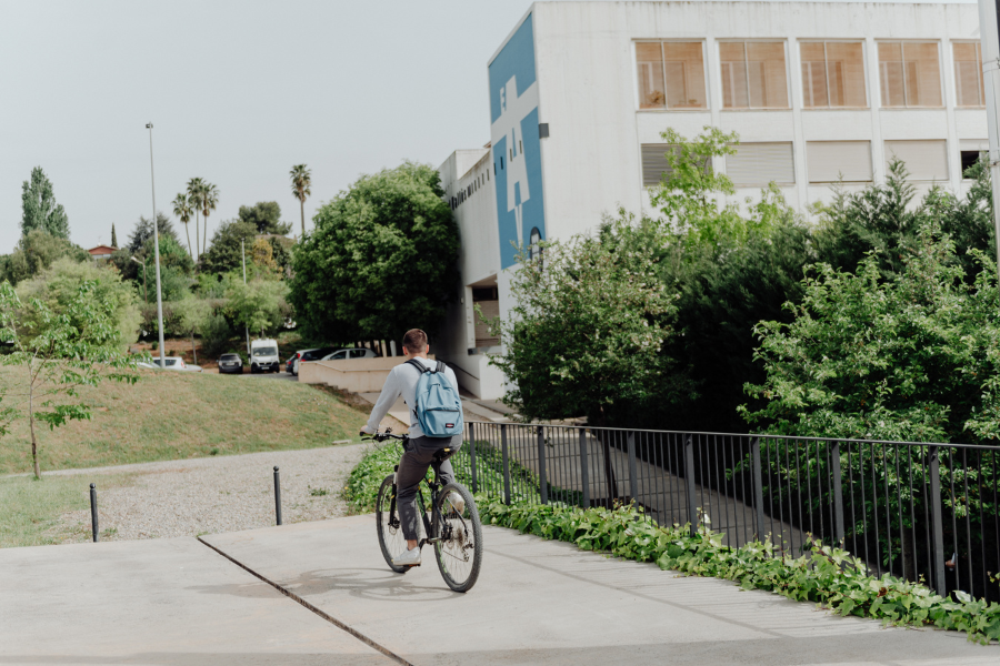 como organizarse para selectividad universidad