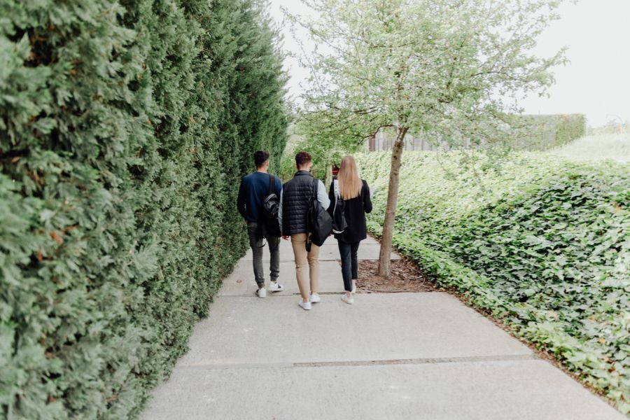 como cambiar de grado universitario campus como cambiar de grado universitario campus