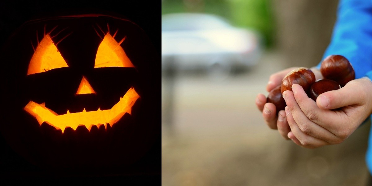 ¿Halloween o Castañada? Diferentes tradiciones para celebrar el Halloween universitario