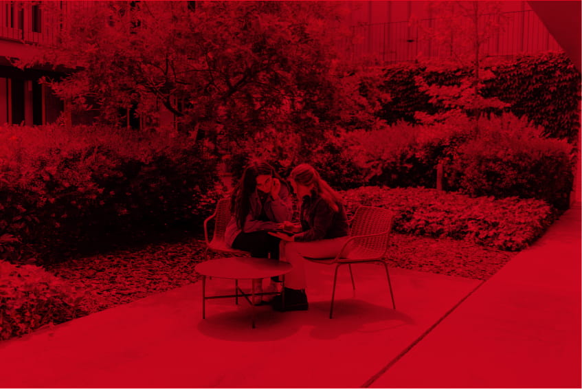 Jardín y terraza exterior